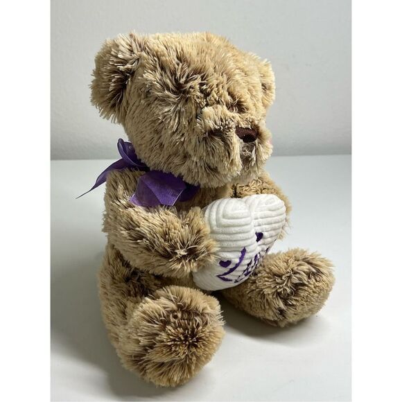 Brown Teddy Bear Plush Dan Dee Collector's Choice Stuffed Animal 13" With Pillow - Picture 5 of 5